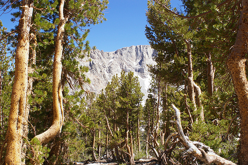 Национальный Парк Кингс-Каньон (Kings Canyon)